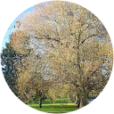 ACARAHOUSE Dublin profile picture